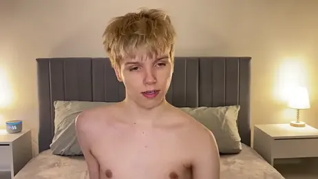 imagem do stream de metarion