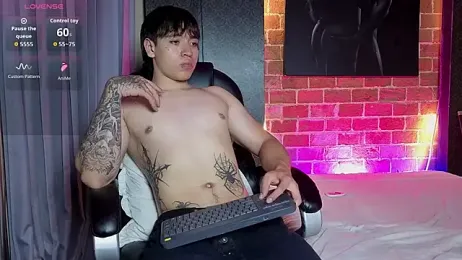 RomanKanne1 visualização da webcam