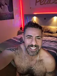 imagem do stream de wolfbucker