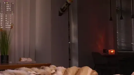 imagem do stream de EdlinAlliston