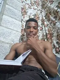 Princip-0005 visualização da webcam