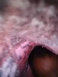 priyankashinde webcam stripchat model stream image