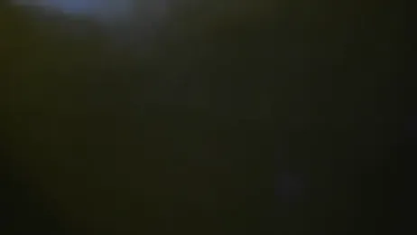 bialoba7 visualização da webcam