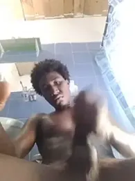 flipovsv visualização da webcam