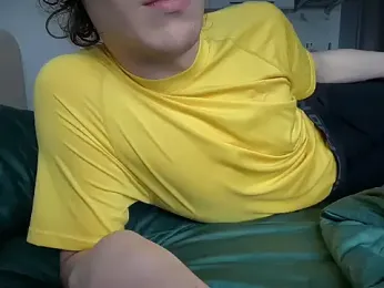 imagem do stream de Lamonteik