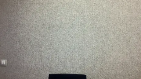 imagem do stream de Viola-Whisper